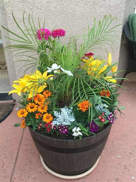 Tell them how you feel! Costco Pot w perinial flowers | Outdoor flowers, Outdoor ...