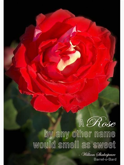A Rose By Any Other Name Art Print By Barrel O Bard Redbubble