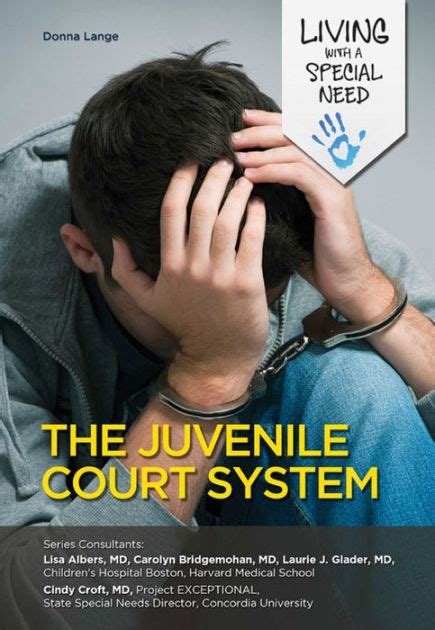 The Juvenile Court System By Donna Lange Ebook Barnes And Noble®