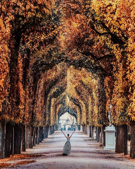 Schönbrunn Palace Walk In Autumn Vienna Austria Шенбрунн дворец