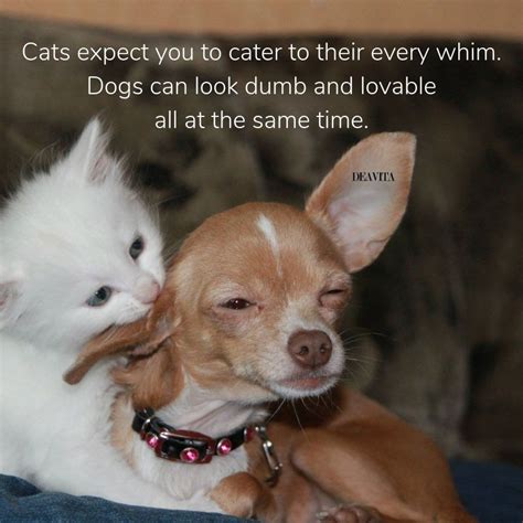Cats Vs Dogs Funny Pet Quotes Cats Dogs Funny Pets Quotes Cat Vs