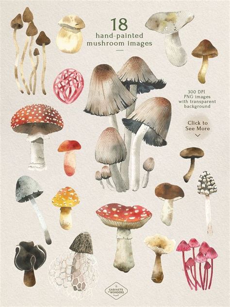 Pin By Betha Rush On Whimsical Mushrooms Mushroom Watercolor