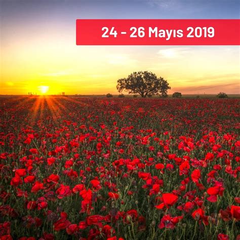 As a pleasant result, the sweet smell of roses growing in the fields can be enjoyed from every corner of the city. Afbeeldingsresultaat voor Isparta Ã¼retim yeri | Şarap