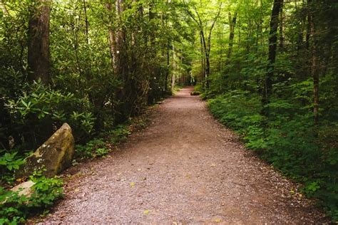 The Great Smoky Mountains National Park Hiking Challenge