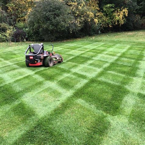 Some services that weed man includes in its lawn care plans include: Gallery - Scott Landscaping Services