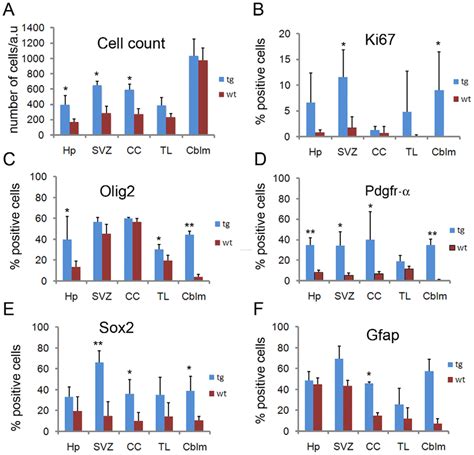 Quantification of cell numbers and of cells expressing different