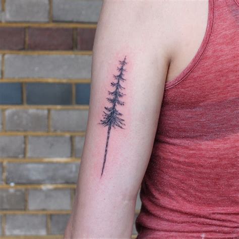 Cat tattoo body art tattoos tattoo designs pawprint tattoo animal tattoos small tattoos cute tattoos tattoos and piercings dog tattoos. 75+ Simple and Easy Pine Tree Tattoo - Designs & Meanings ...