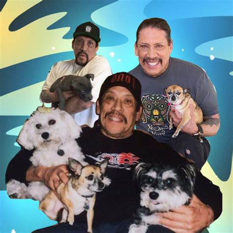 Check spelling or type a new query. 26 Photos of Dog Lover Danny Trejo Hanging Out With Adorable Dogs