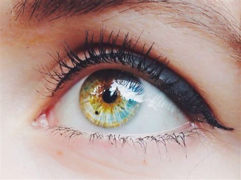 El Color De Tus Ojos Revela Tus Más Profundos Secretos Familias