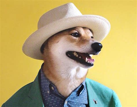 Mr Dog Menswear Dog Animal Instagram Dapper Dogs