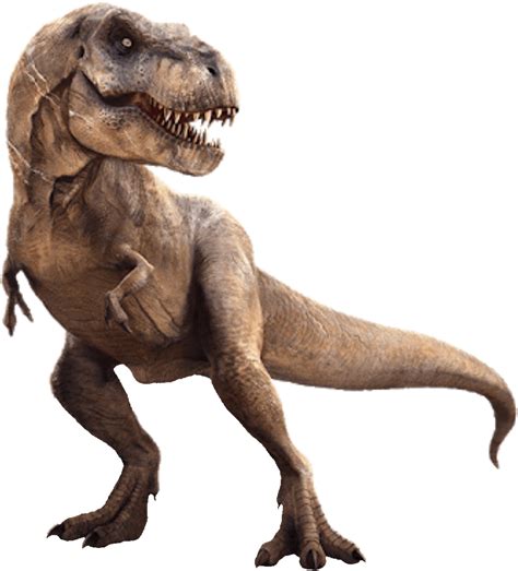 Imágenes De Dinosaurios Png Mega Idea Tiranossauro Fósseis De