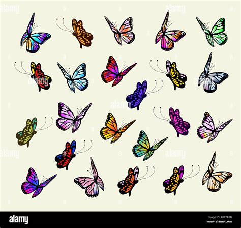 Butterfly Collection Illustration Stock Vector Images Alamy