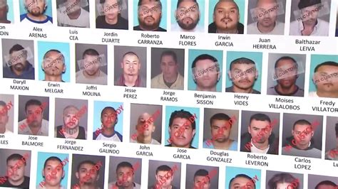 Dozens Of Suspected Ms 13 Gang Members Taken Into Custody In 50 Raids