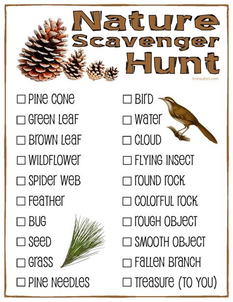 Nature Scavenger Hunt Printable Connecting To Trees And Why Its