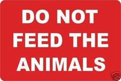 The animals what you shouldn't do • do not put out food indiscriminately to attract wildlife to your backyard. Zoo News Digest: Do Not Feed The Animals