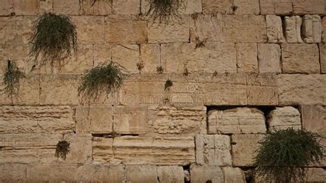 The Western Wall Or Wailing Wall Is The Holiest Place To Judaism In The
