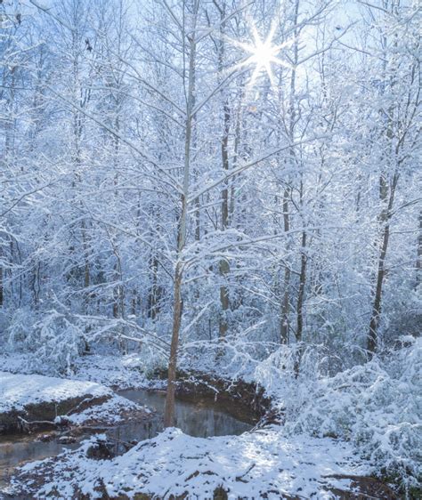 12917 Scenes Of Fall Snow In Alabama Picture Birmingham