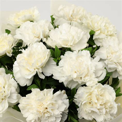 Online 12 White Carnations Bouquet Medium T Delivery In Singapore Fnp