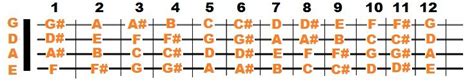 Bass Guitar Notes Simplified The Fretboard In Steps StringVibe