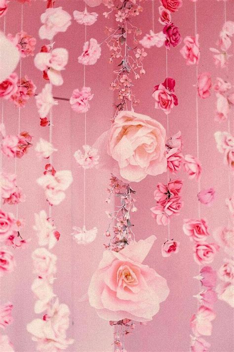 Maybe you would like to learn more about one of these? Aesthetic Flower Wallpapers - Top Free Aesthetic Flower ...