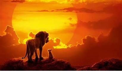 Lion King Disney Sunset Computer Desktop Background