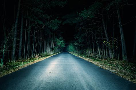 42400 Dark Forest Road Stock Photos Pictures And Royalty Free Images