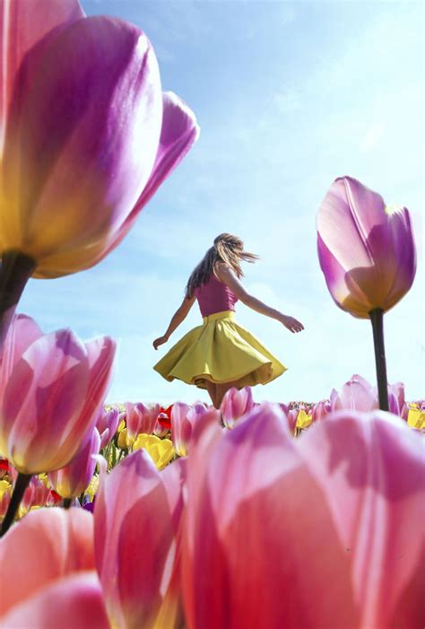 We Captured The Incredible Transformation Of The Netherlands When All Million Tulips Bloom At