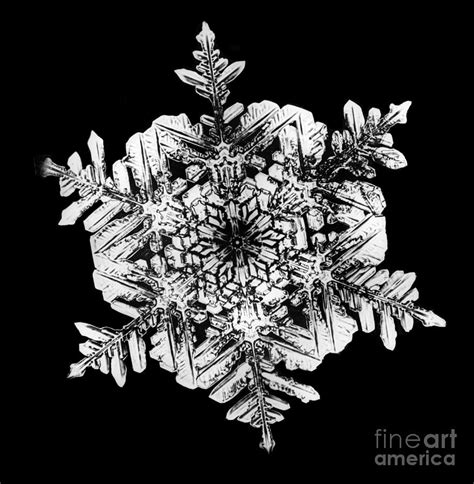 Snowflake Photograph By Science Source Fine Art America