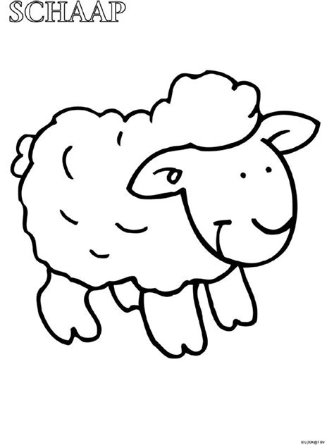 De eerste kleurplaat van biba boerderij (1)! Kleurplaat Peuter kleurplaat schaap - Kleurplaten.nl - kleurplaten | Pinterest - Kleurplaten ...