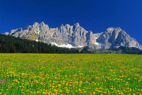 50 Paisajes Donde Siempre Debería Ser Primavera Galería De Fotos 2 De 50