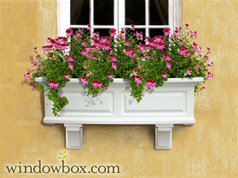 Aug 17, 2021 · ash and his friends head outside as shaymin continues to pull ash's head in different directions, while ash is really upset about it. White Window Box | Self-Watering Planter Box | Windowbox.com