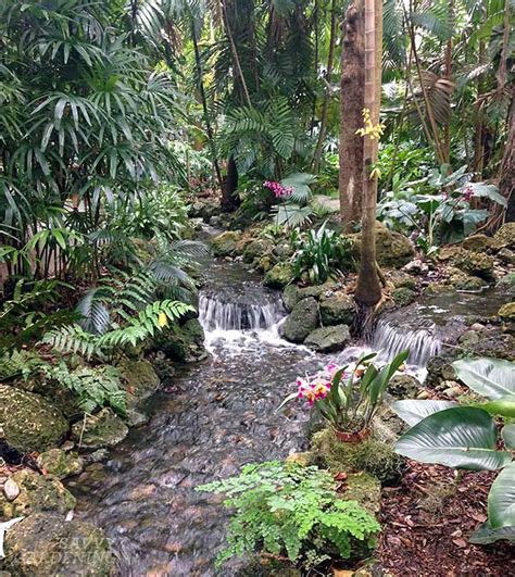 Sg Travels Fairchild Tropical Botanic Garden In Florida