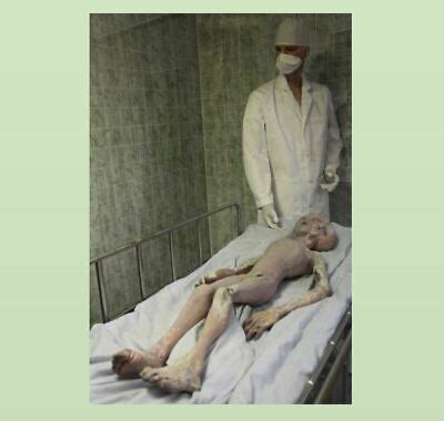 Vintage Creepy Alien Autopsy Photo Scary Weird X Files Body Area Ufo Roswell Ebay