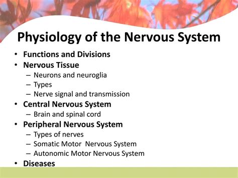 Ppt Physiology Of The Nervous System Powerpoint Presentation Free