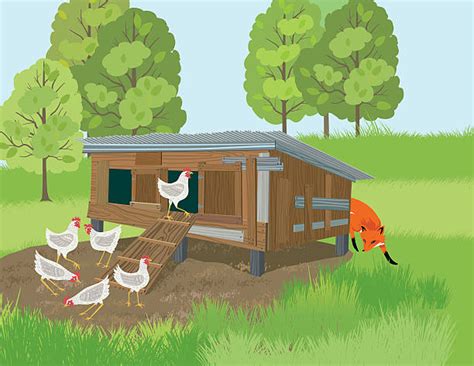 Chicken coop, chicken coop for kids, chicken coop without background, chicken coop on transparent background. Best Chicken Coop Illustrations, Royalty-Free Vector ...