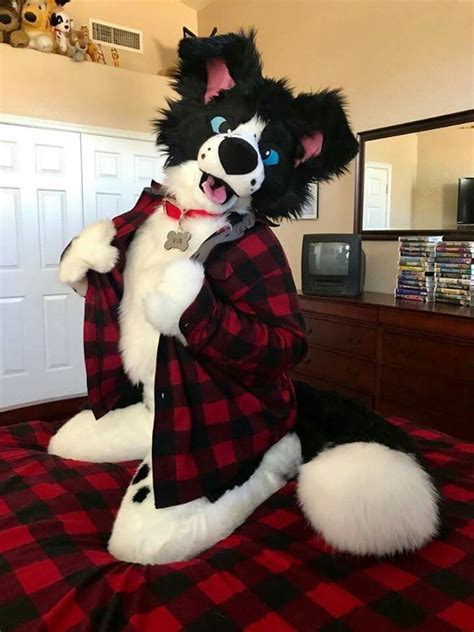 is dat marks flannel furry art anthro furry furry pics