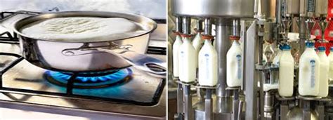 Should you drink milk without boiling? Brucellosis in Animals and Human Population in India ...