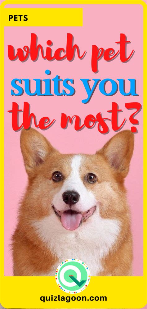 Pet Quiz What Animal Suits You The Most In 2021 Animal Quiz Dog