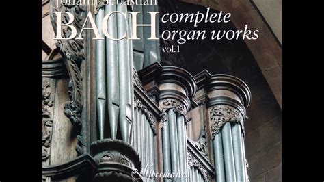 J. S. Bach - Complete Organ Works played on Silbermann Organs - CD 01/
