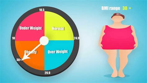 Calculating Bmi For Body Fat And Health Risks Weight Loss Programs