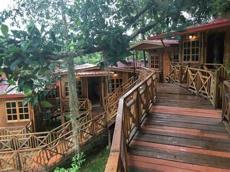 כדי לעזור לך להתמצא ברחבי קוטה קינבאלו, הנה שם העסק וכתובתו בשפה המקומית. Pin by Azurez Walterz on ~ Borneo Tree House Kota Kinabalu~