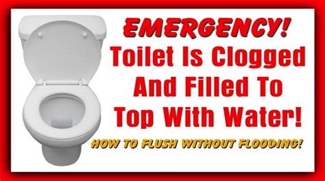 How to unclog the toilet fast with this secret plumber's trick to fix any backed up toilet! 10 Proven Ways To Unclog A Toilet Without A Plunger ...
