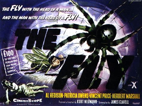 The Fly 1958 Movie Poster Stars From The Past Wallpaper 31747886