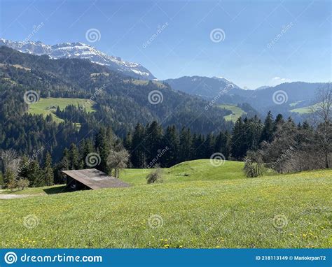 Subalpine Meadows And Livestock Pastures On The Slopes Of The Swiss