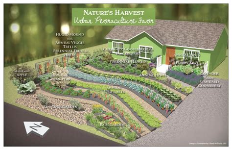 Converting Lawns To Gardens Natures Permaculture Design Plan