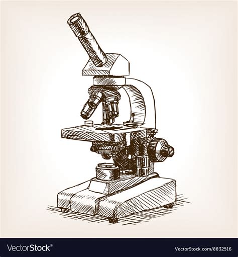 Microscope Sketch Style Royalty Free Vector Image