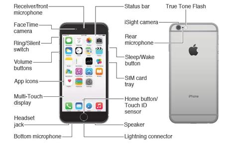 Iphone 6 and iphone 6 plus embody apple's continuing environmental progress. Parts of the iPhone - iPhone and iOS: The Complete Newbie's Guide | PCMag.com
