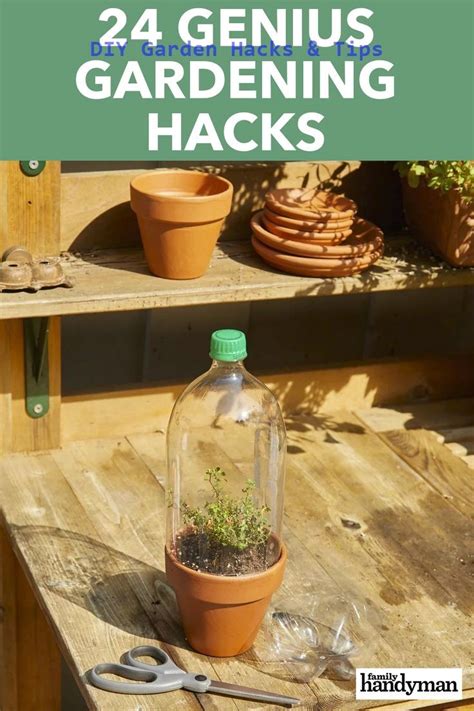Life hacks are cool and useful and they can be organized in multiple categories. 35+ Creative Garden Hacks and Tips | Diy garden decor projects, Diy garden, Gardening tips