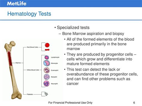 Ppt Understanding Complete Blood Counts The Abcs Of Cbcs Powerpoint