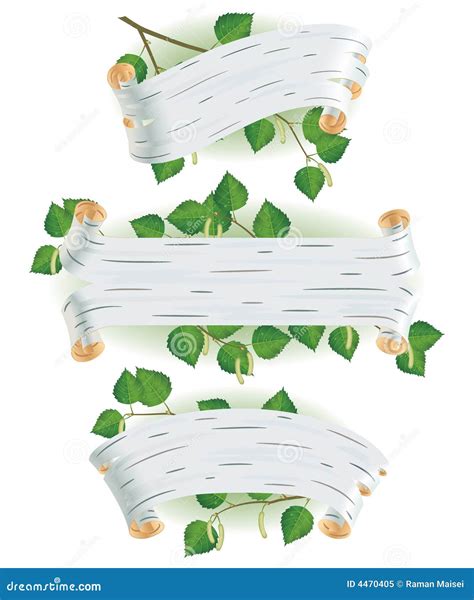 Birch Bark Stock Vector Illustration Of Roll Green Pattern 4470405